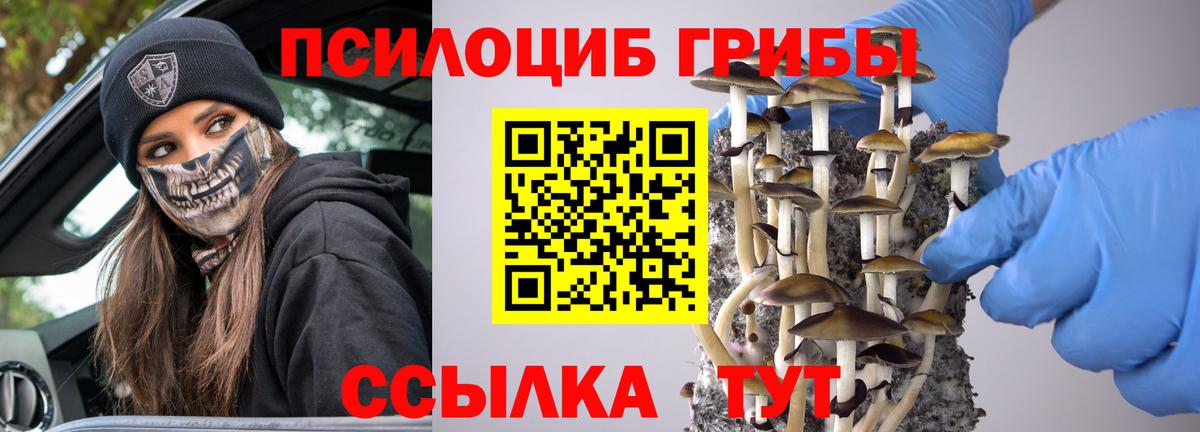 Галлюциногенные грибы Cubensis Волхов