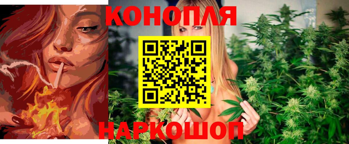 Канабис ГИДРОПОН  Бошки марихуана OG Kush  Канабис AK-47  Марихуана план  Волхов  Вход с VPN 